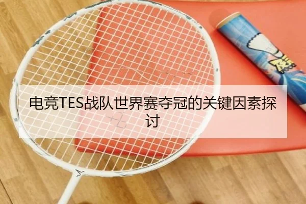 电竞TES战队世界赛夺冠的关键因素探讨