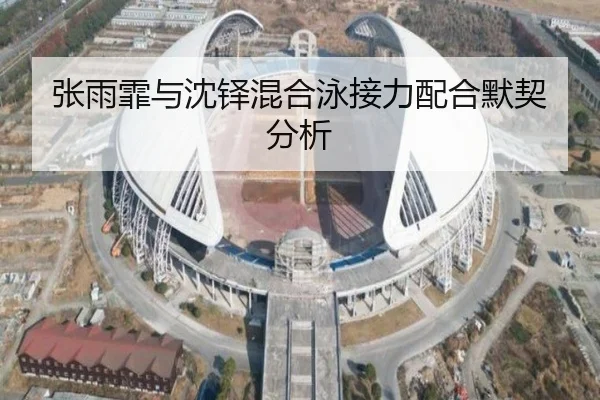 张雨霏与沈铎混合泳接力配合默契分析